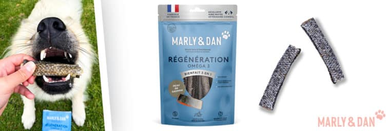 Peaux de Saumon Régénération pour chien