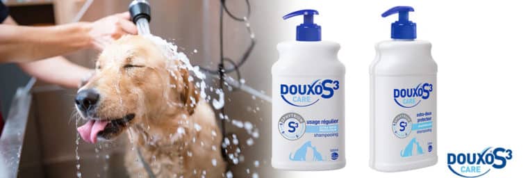 Shampoing Douxo S3 Care démêlant