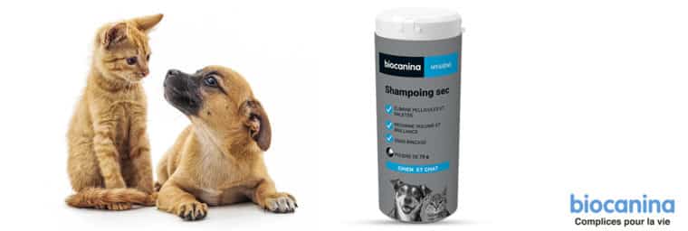 Biocanina - Shampoing sec