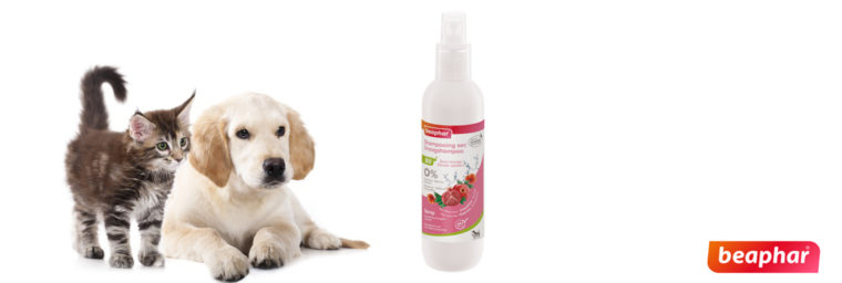 Beaphar Bio - Shampoing sec pour chat et chien 