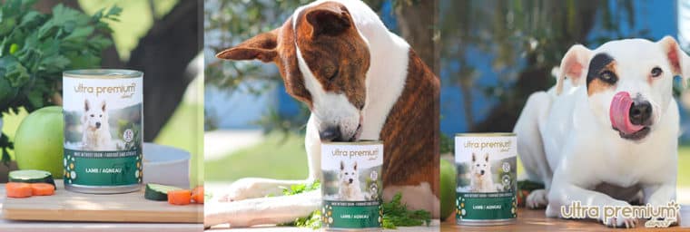 Ultra Premium Direct - Pâtée pour Chien Sans Céréales Agneau