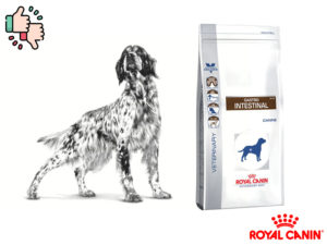 Royal Canin gastro intestinal avis