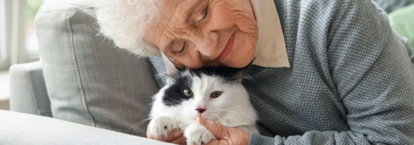 chat pour personne âgée