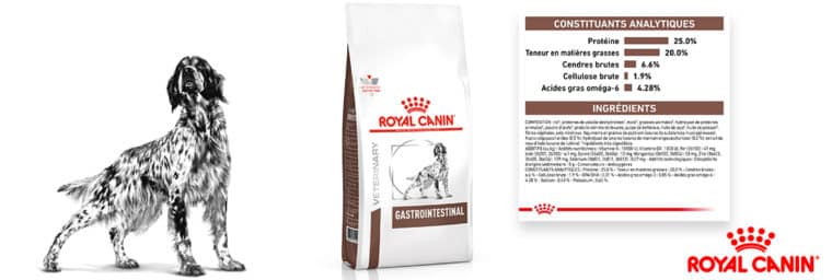 avis Royal Canin gastro intestinal