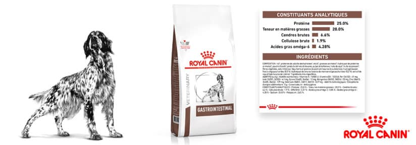 avis Royal Canin gastro intestinal