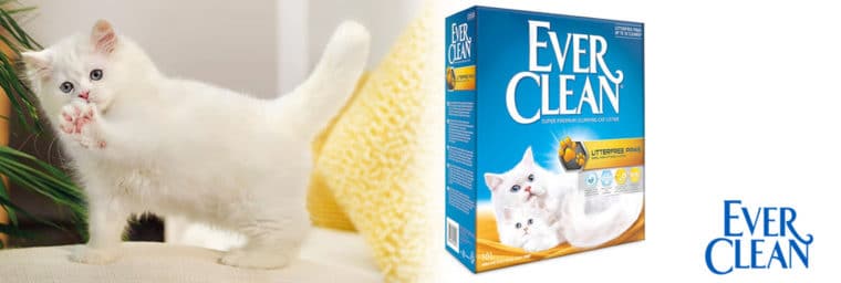 EverClean - Litterfree Paws pour chat