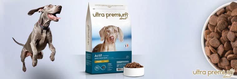 Ultra Premium Direct - Croquettes Super Premium pour Chien Actif de Toutes Tailles