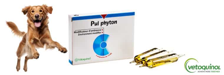 Vetoquinol - Pul Phyton 5 x 10 ml