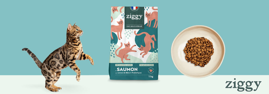 Ziggy - Croquettes Chat Stérilisé Sans Céréales Saumon
