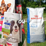 Hill's ou Royal canin