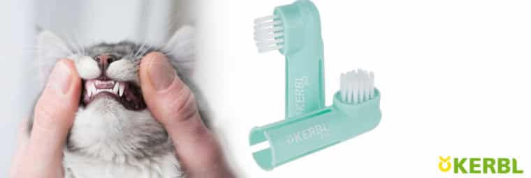 brosse à dents Kerbl