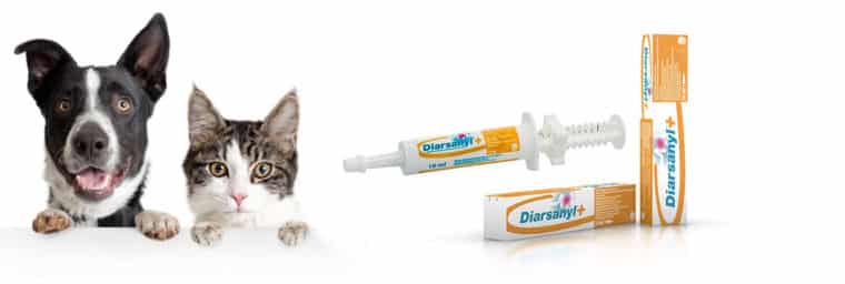 Diarsanyl Ceva pour chien et chat