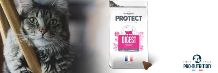 Pro-Nutrition - Protect Chat Digest