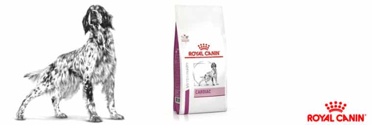 Royal Canin – Veterinary Chien Cardiac