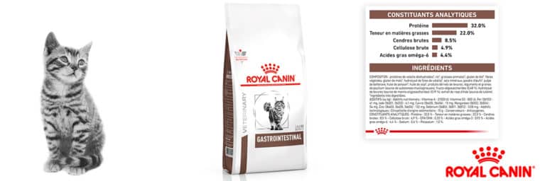 royal canin chat