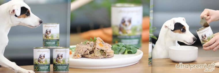 Ultra Premium Direct – Pâtée pour chien sans céréales poulet & dinde