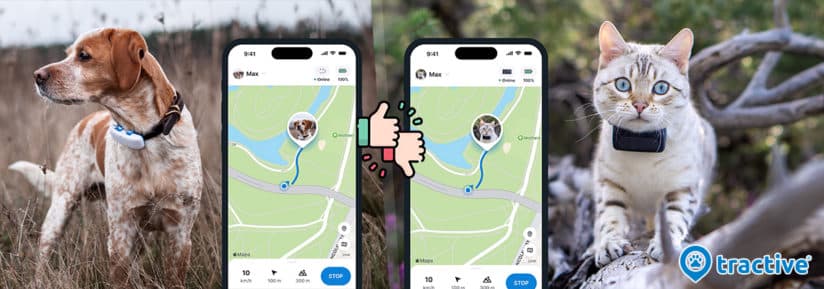 avis sur tractive chien - chat