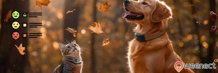 avis sur weenect chien - chat