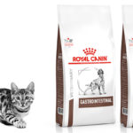 Avis sur Royal Canin Gastro-intestinal