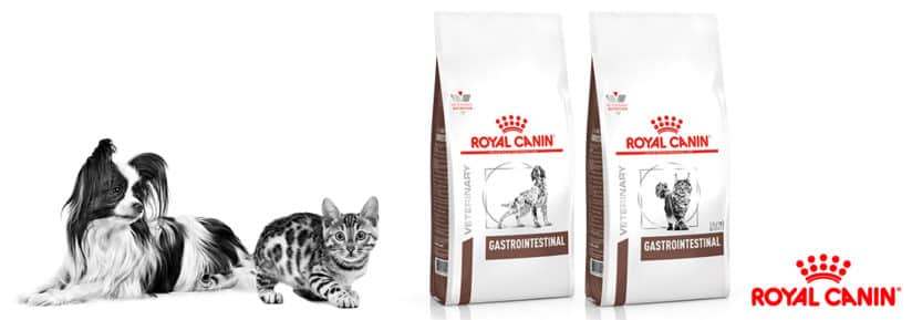 Avis sur Royal Canin Gastro-intestinal