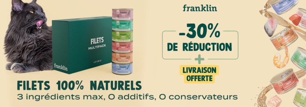 franklin filets chats