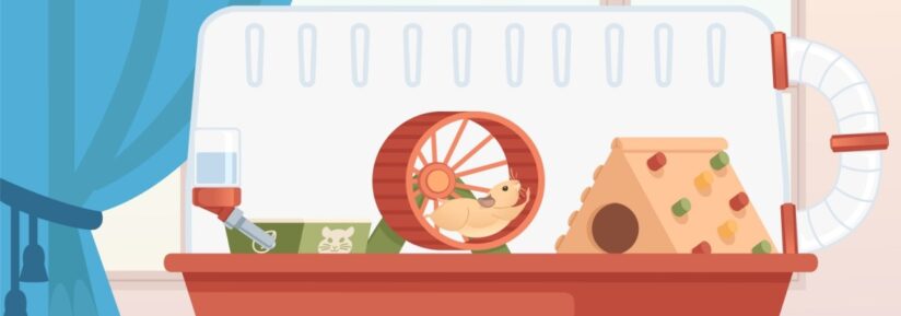 Accessoire pour hamster