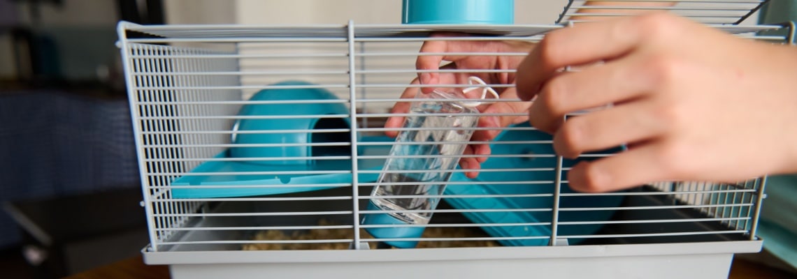 Biberon d’eau pour hamster