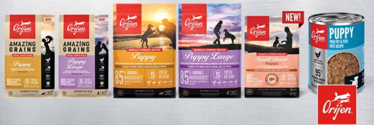 Orijen - Puppy Large