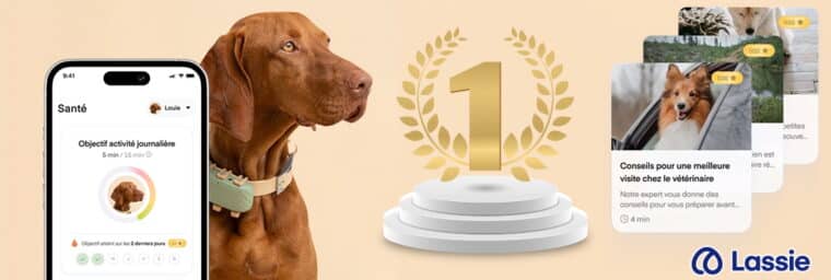 lassie assurance prix