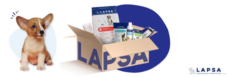 Box LAPSA chien