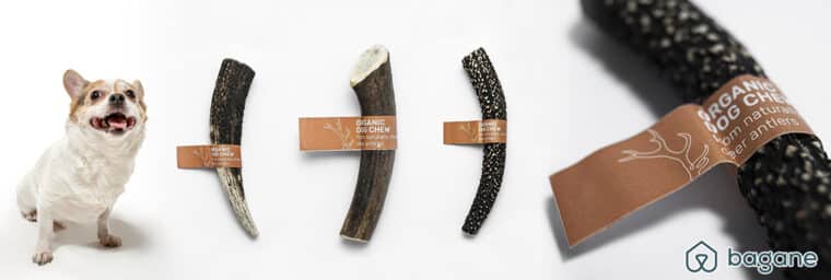 Bagane – Bois de cerf pour chien naturel Koko