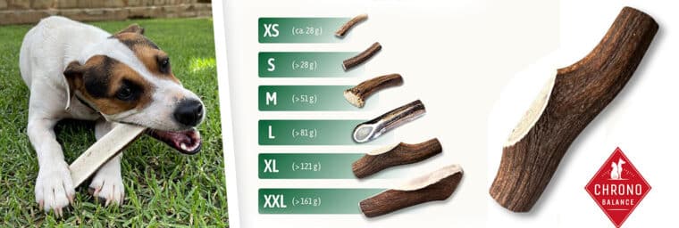 ChronoBalance – Barre en bois de cerf