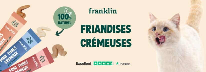 franklin - friandises liquides chat