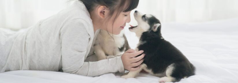 mauvaise haleine du chien