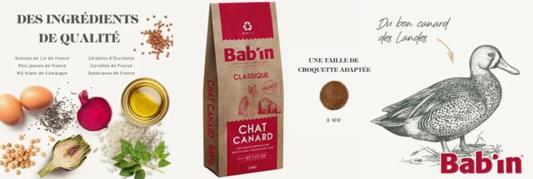 Bab'in - Chat Adulte - Canard