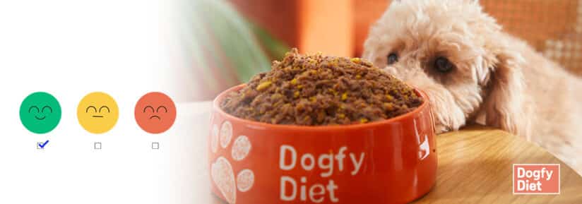 avis Dogfy Diet
