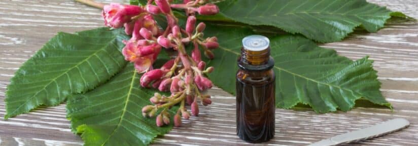 les fleurs de Bach pour chien