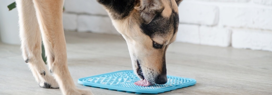 tapis de léchage pour chien