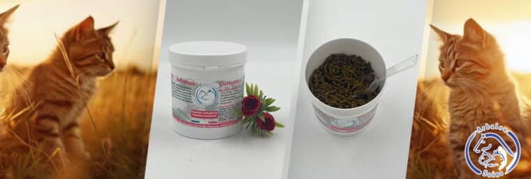 Arbalou - Curcuma+ Chat