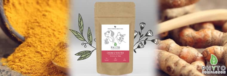 Phyto Compagnon - Curcuma & Poivre Noir