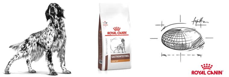royal canin - Gastrointestinal Low Fat pour chien