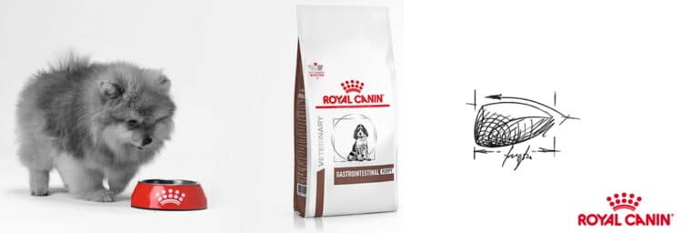 Royal canin - Gastrointestinal Puppy pour chiot