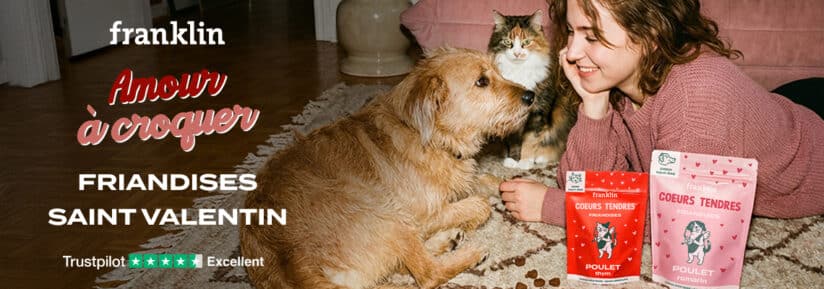 franklin - friandise saint valentin chien et chat