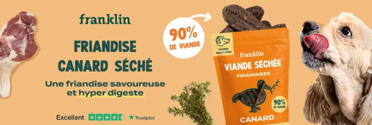 Franklin - Canard séché