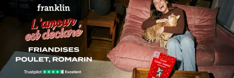 franklin - friandise saint valentin chat