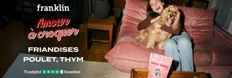 franklin - friandise saint valentin chien