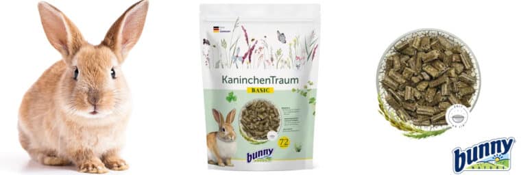 Bunny - Rêve BASIC pour lapin nain