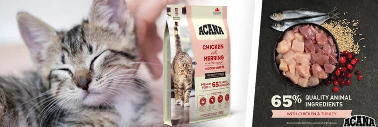 Acana chat stérilisé Indoor Entrée