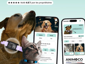 Animoco avis