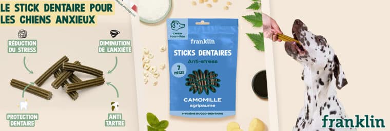 Franklin - Sticks anti-stress